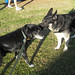 Max Carter Photo 42