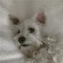 Kim Stanfield Photo 2
