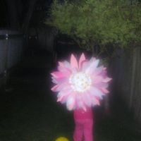 Kathryn Donnelly Photo 37