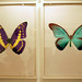 Paul Hirst Photo 24