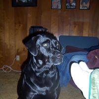 Stanley Moody Photo 7