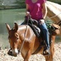Colleen Douglas Photo 23