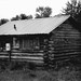 Jeanne Jenkins Photo 15