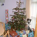 Janet Abbott Photo 20