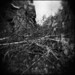 Diana Clements Photo 24