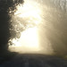 Misty Wright Photo 31
