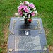 Jennifer Graves Photo 10