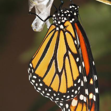 Judy Workman Photo 8