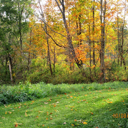 Jackie Shepherd Photo 18