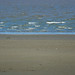 Lionel Johnson Photo 34