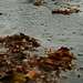 Victoria Winters Photo 33