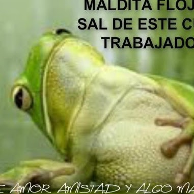 Fidel Contreras Photo 9