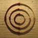Carolyn Webb Photo 10