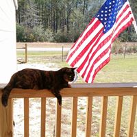 Tina Bradley Photo 19