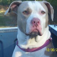 Kimberly Haney Photo 27