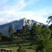 Mary Estes Photo 32