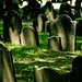Christopher Lathrop Photo 16