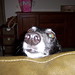 Julia Grabowski Photo 7