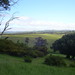 Frances Bullock Photo 23