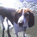Maple Walker Photo 7