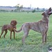 Addie Griffin Photo 11