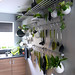 Joseph Kitchen Photo 26