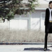 David Rocha Photo 43