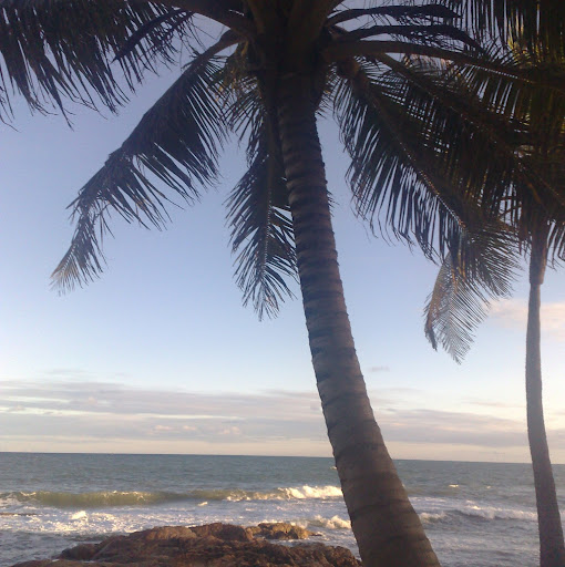 Tony Ros Photo 2