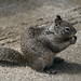 Lawrence Yee Photo 38