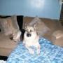 Carolyn Wong Photo 14