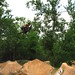 Mike Cottle Photo 17