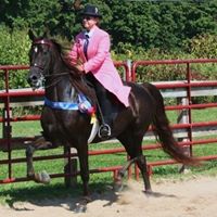 Brenda Whiteman Photo 20