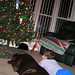Buddy Garrett Photo 12