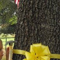 Ruth Adkins Photo 26