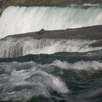 Norman Wheeler Photo 7