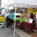 Ann Whiteside Photo 16