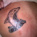 Patrick Dotson Photo 22