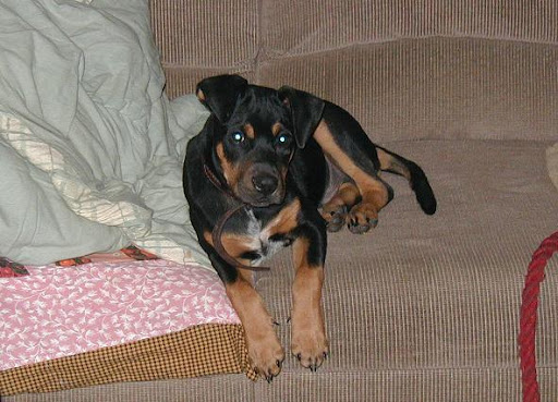 Joann Anderson Photo 12