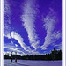 Gerald Winter Photo 22