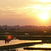 Phen Vue Photo 2