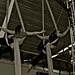 Craig Mclean Photo 16