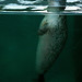 Michelle Seals Photo 9