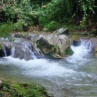 Wilson Salas Photo 5