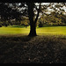 Doris Brewer Photo 12