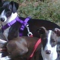 Kathy Evenson Photo 12
