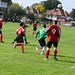 Paul Hutchings Photo 28