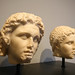 Alexander Alexander Photo 12