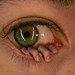 Jessica Gross Photo 15