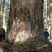 Douglas Harms Photo 17