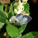 Holly Grantham Photo 12